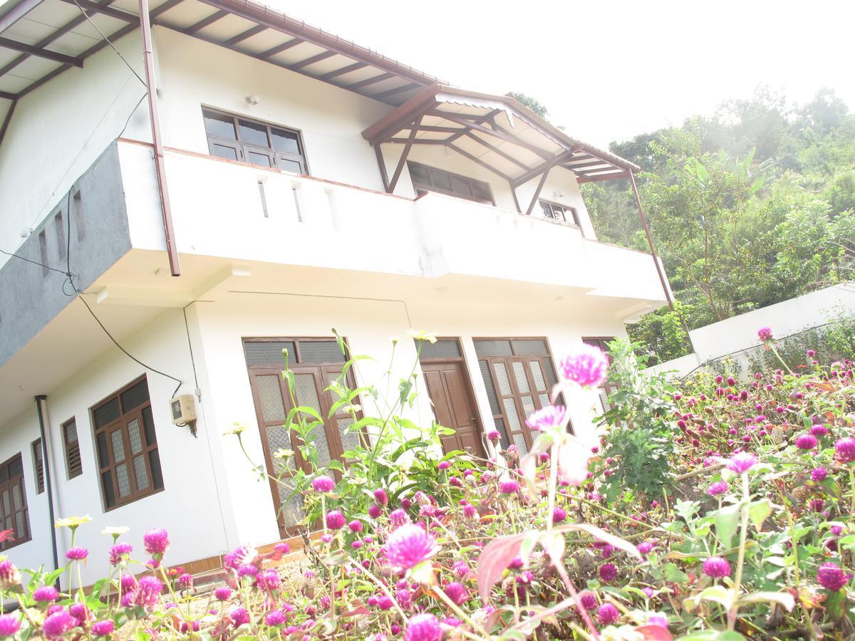 Montes Ella Bed & Breakfast エクステリア 写真